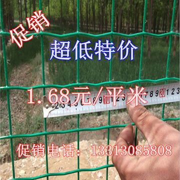 沃达 散养鸡用什么围网 荷兰网 散养鸡围栏