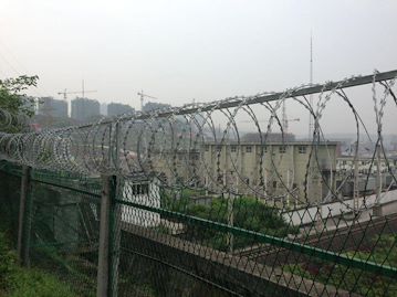 钢板网栅栏+0.5m刺丝滚笼