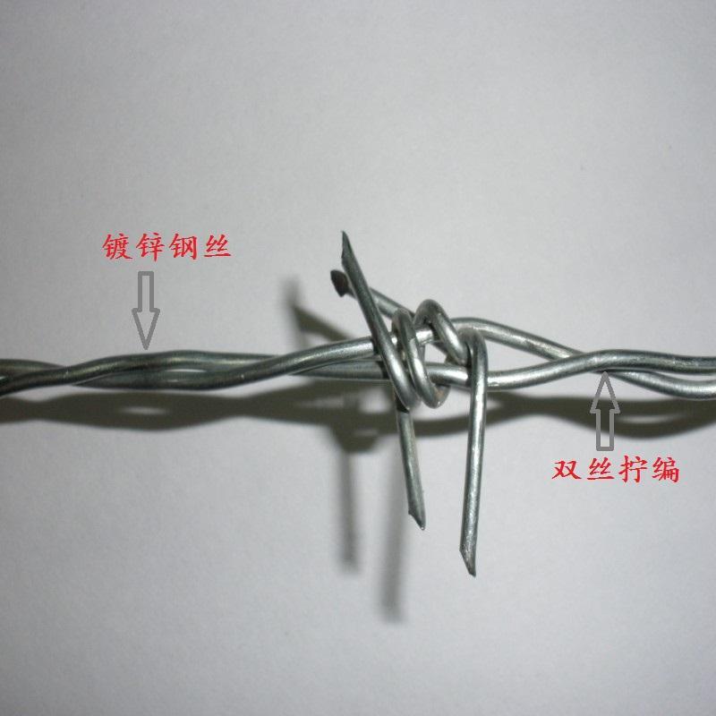 沃达刺绳 镀锌铁蒺藜 刺铁丝网12*14#